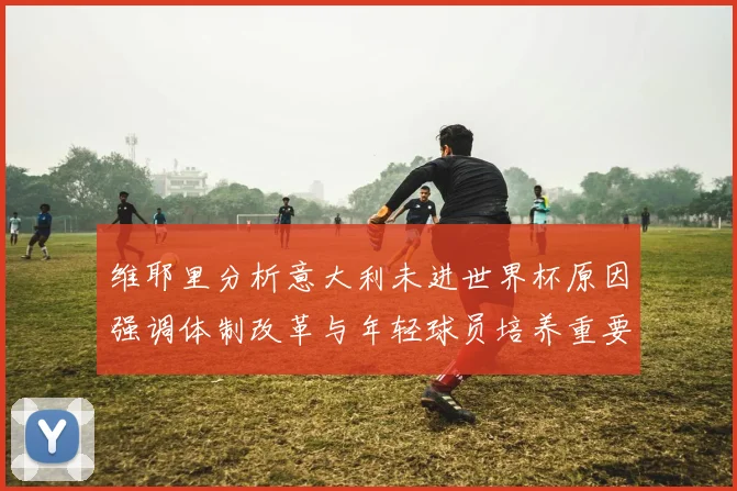 维耶里分析意大利未进世界杯原因强调体制改革与年轻球员培养重要性